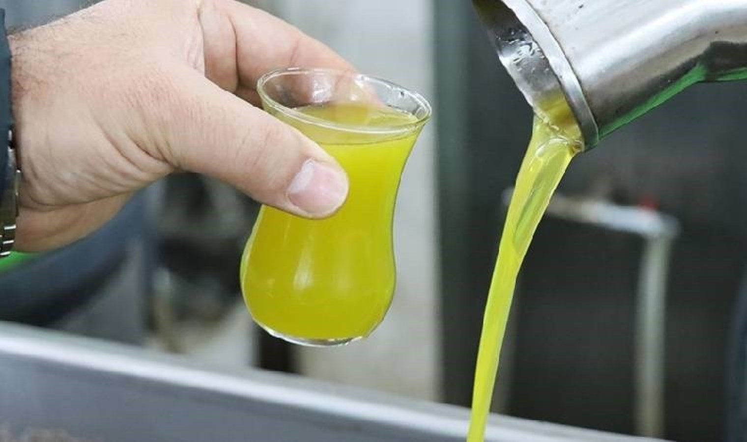 Aydın’da binlerce litre tağşişli zeytinyağı ele geçirildi!