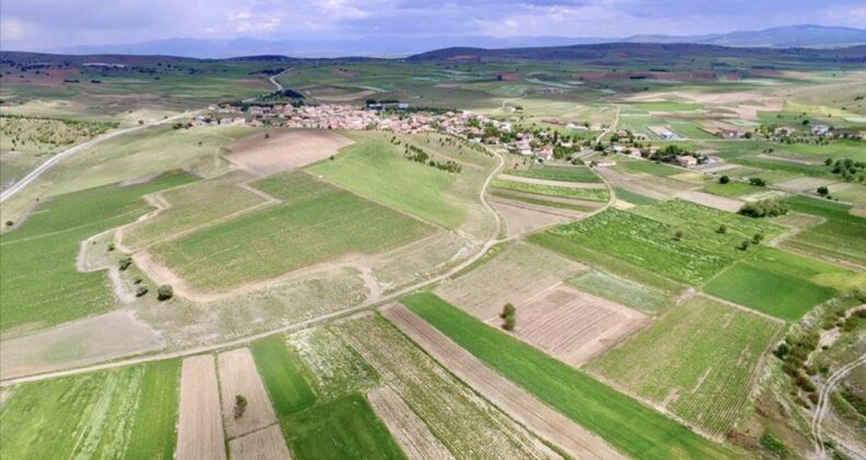 Bazı illerde arazi toplulaştırma ve acele kamulaştırma yapılacak