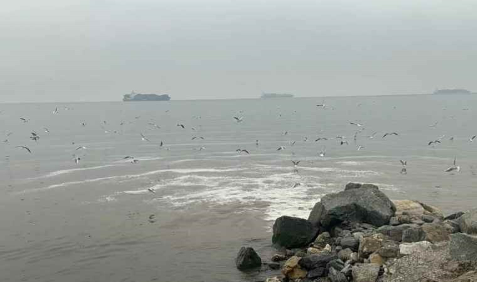 Beylikdüzü’nde dere yolundan akan su denizi kirletiyor: Biz, bunu yıllardır çekiyoruz