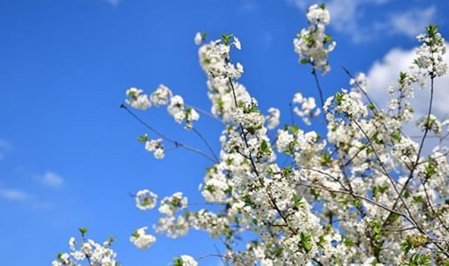 Cemre ne zaman düşer? Birinci Cemre düşme tarihi ne?