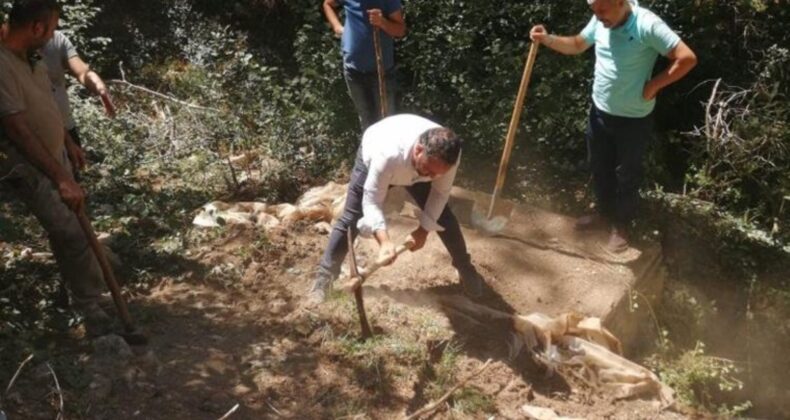 ‘Cesetsiz cinayet’ sanığına müebbet hapis cezası!