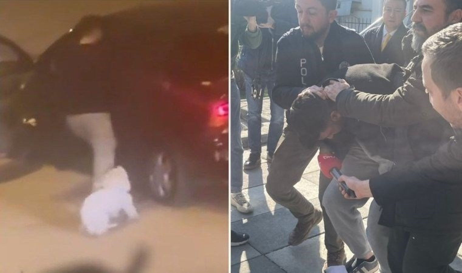 Çocuğa ve köpeğe saldırmıştı: Saldırgan tutuklandı!