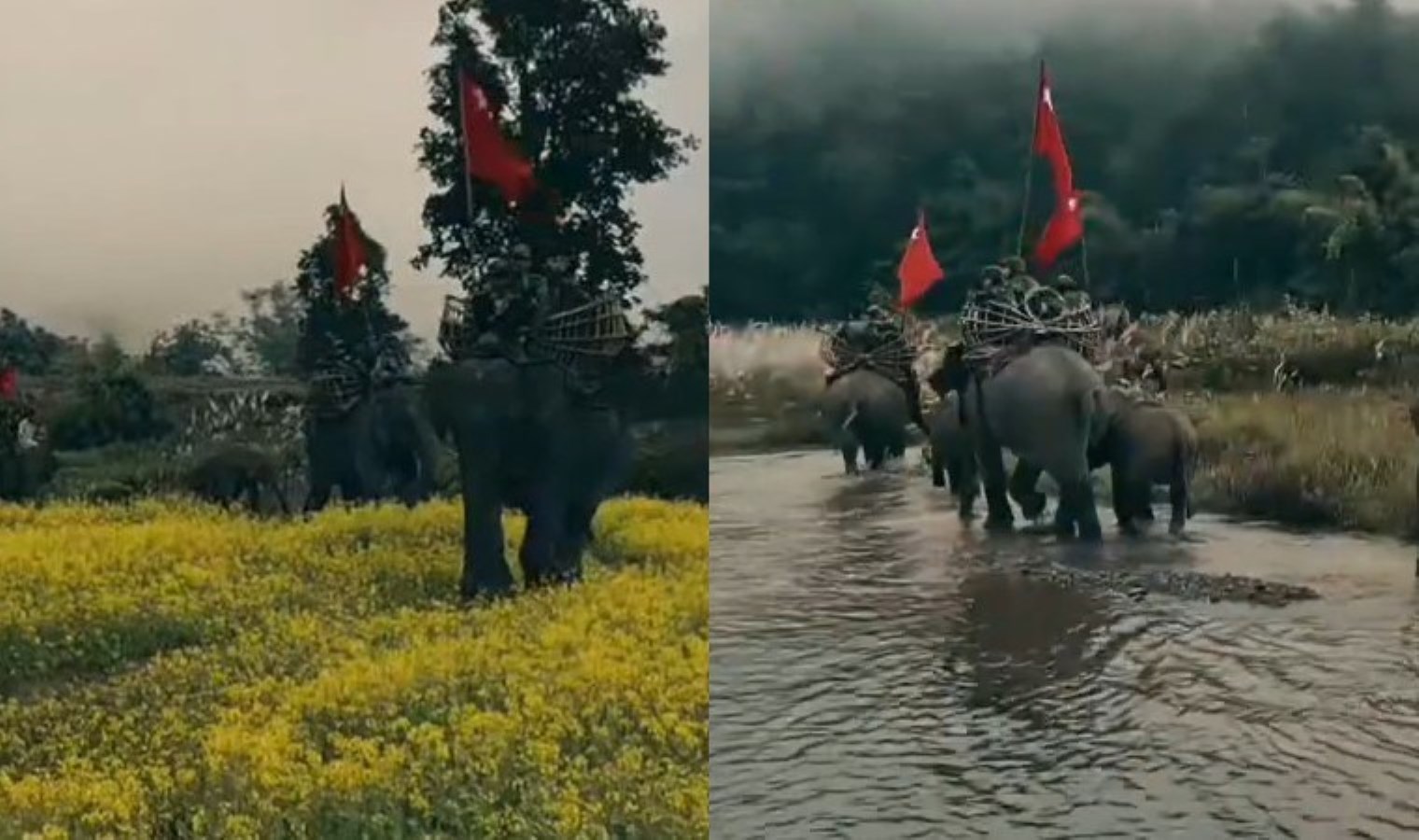 Darbe karşıtı gruplar, cephe hattına ‘savaş filleri’ konuşlandırdı