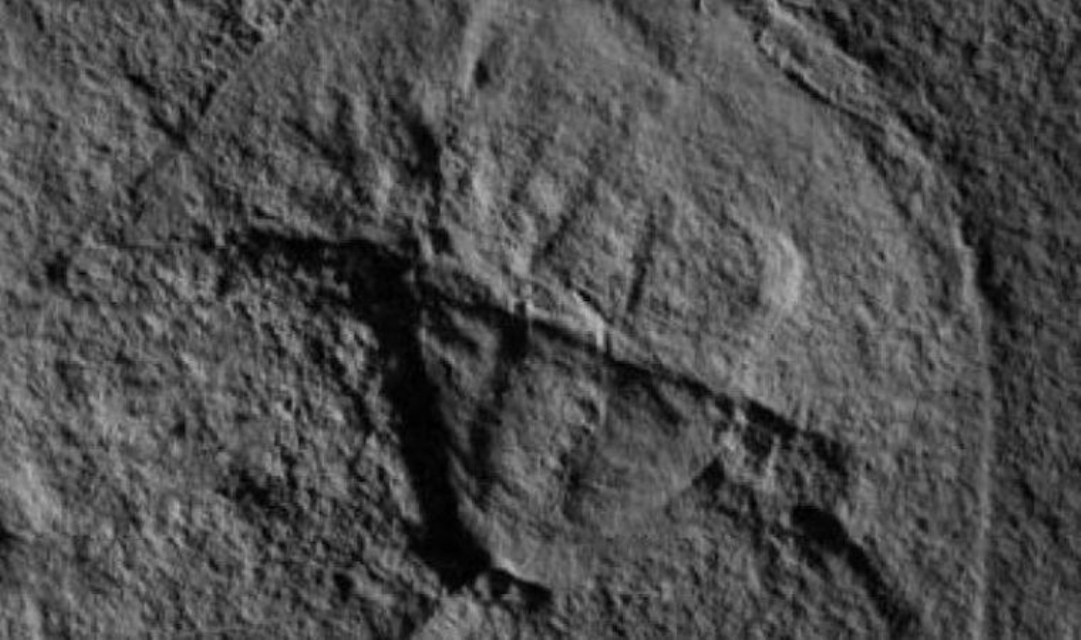 ‘Darth Vader’ böceği keşfedildi: Derin denizlerin gizemli canlıları bilimi hayrete düşürdü