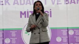 DEM Parti’den Esenyurt’ta miting: Hatimoğulları Öcalan’ın mesajını okudu