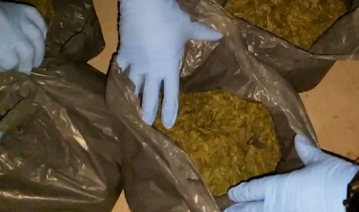 Ekipler baskın yaptı: Evinde 3,5 kilo esrar ile yakalandı