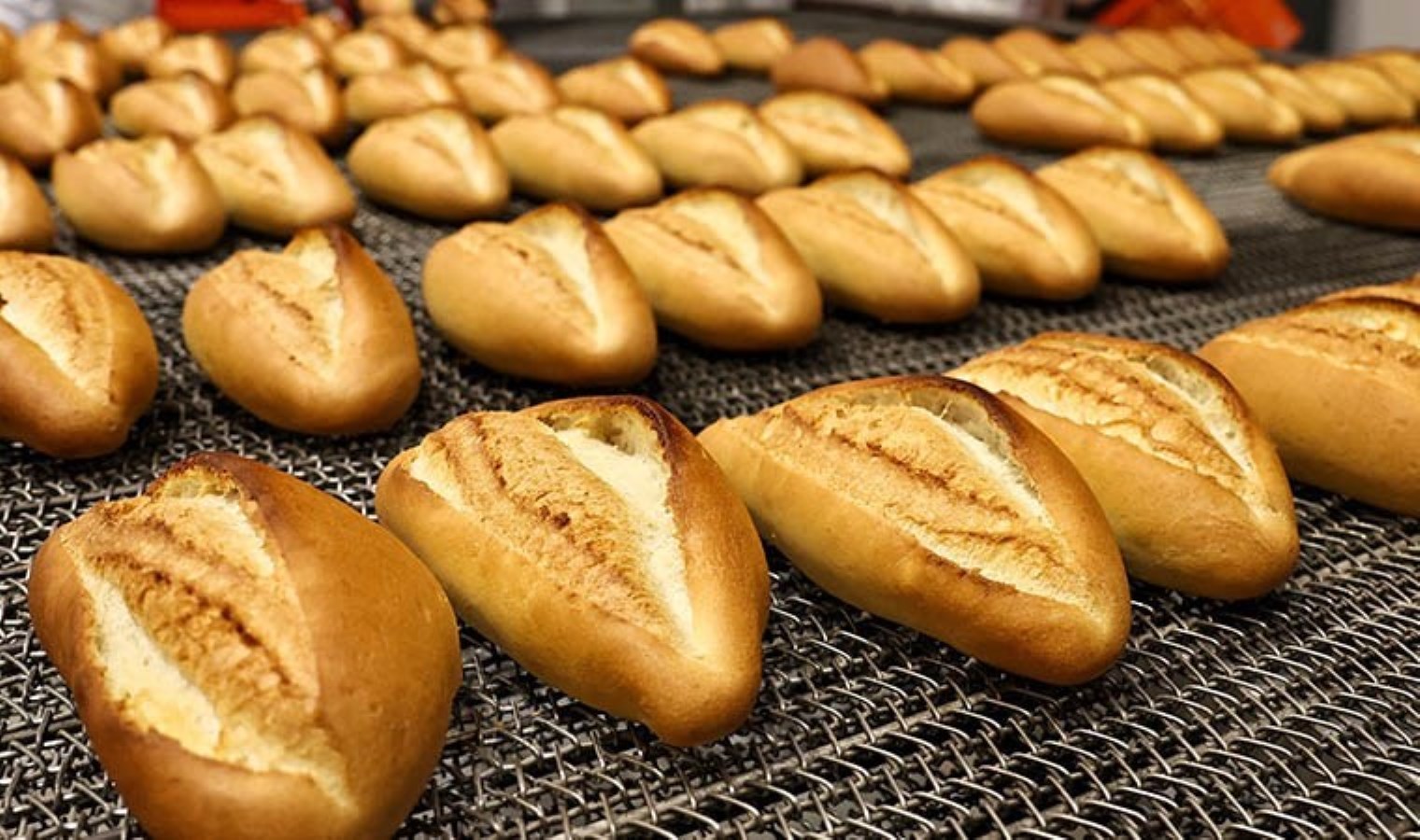 Ekmeğe zam kesmedi