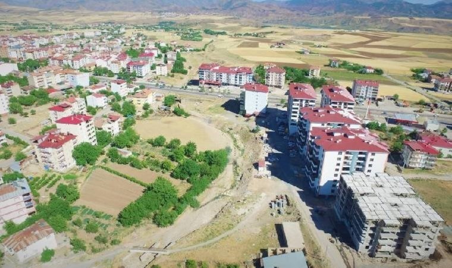 Elazığ’da şap alarmı… Hayvan giriş çıkışları yasaklandı!