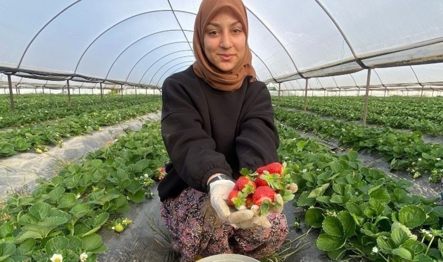 Fiyatı 1 ayda dip yaptı: 400 TL’den 90 TL’ye düştü