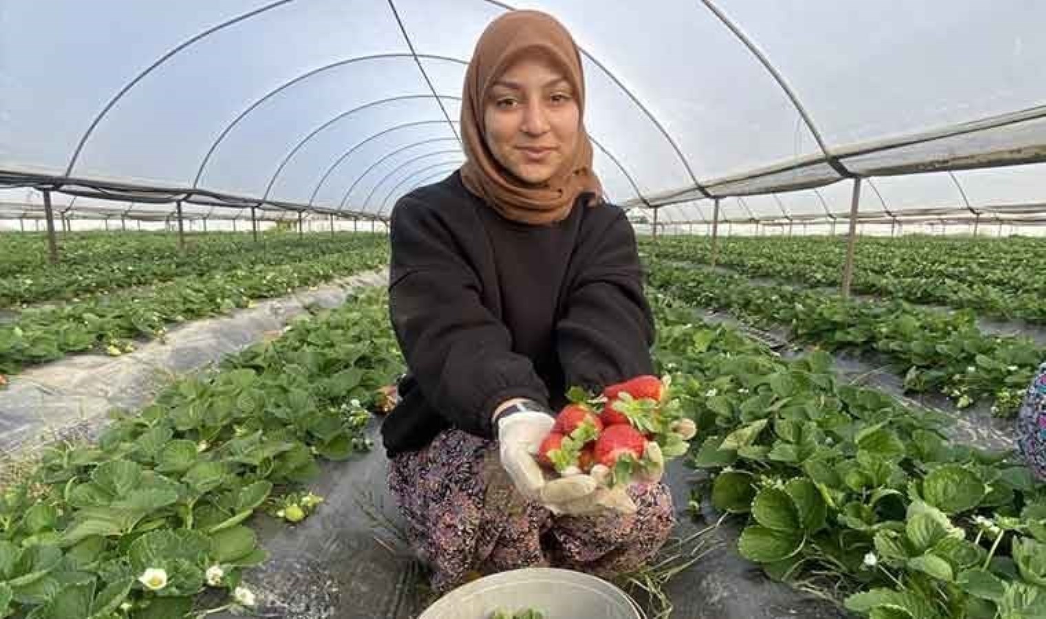 Fiyatı 1 ayda dip yaptı: 400 TL’den 90 TL’ye düştü