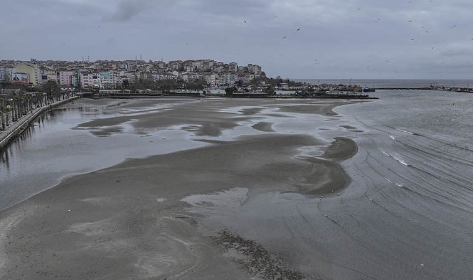Görüntüler endişe yarattı: İstanbul’da deniz suyu çekildi