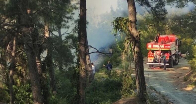 Hatay’da ormanlık alanda örtü yangını çıktı