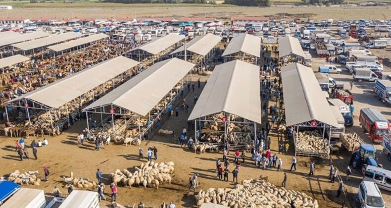 Hayvan pazarında şap hastalığı paniği: Türkiye’nin en büyük pazarı kapatıldı