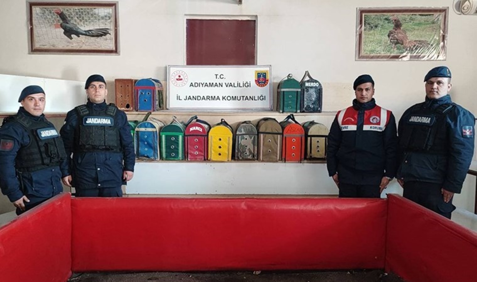 ‘Horoz dövüştürülen’ adrese baskın: 8 gözaltı