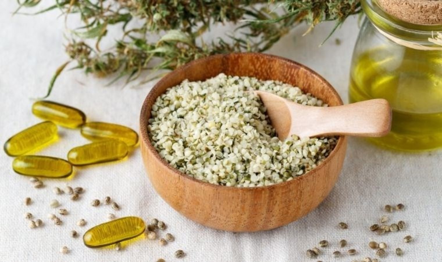 İbn-i Sina’nın asırlar önce söylediği güzellik sırrı: Genç kalmayı sağlayan mucize tohum