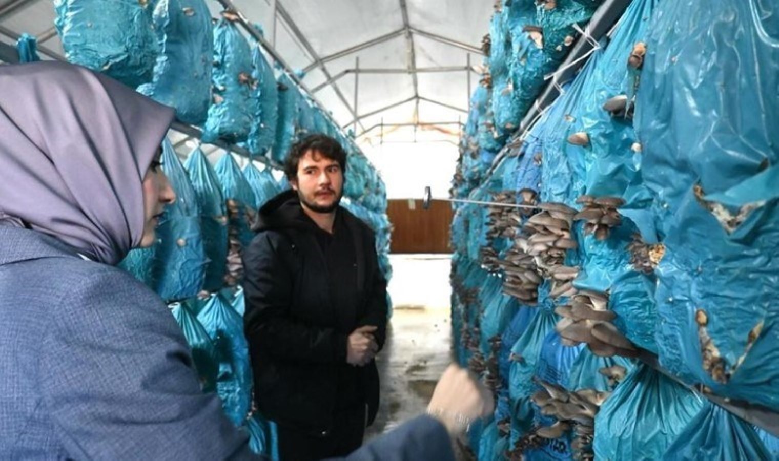 İnhisar’da yetişiyor, diğer şehirler tonlarca  gönderiliyor