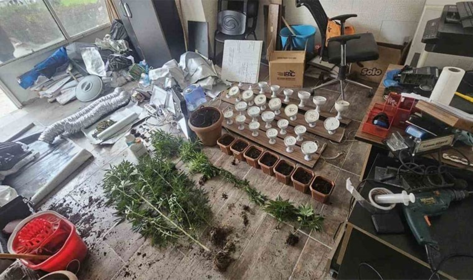 İş yerinde uyuşturucu yetiştiren şüpheli tutuklandı