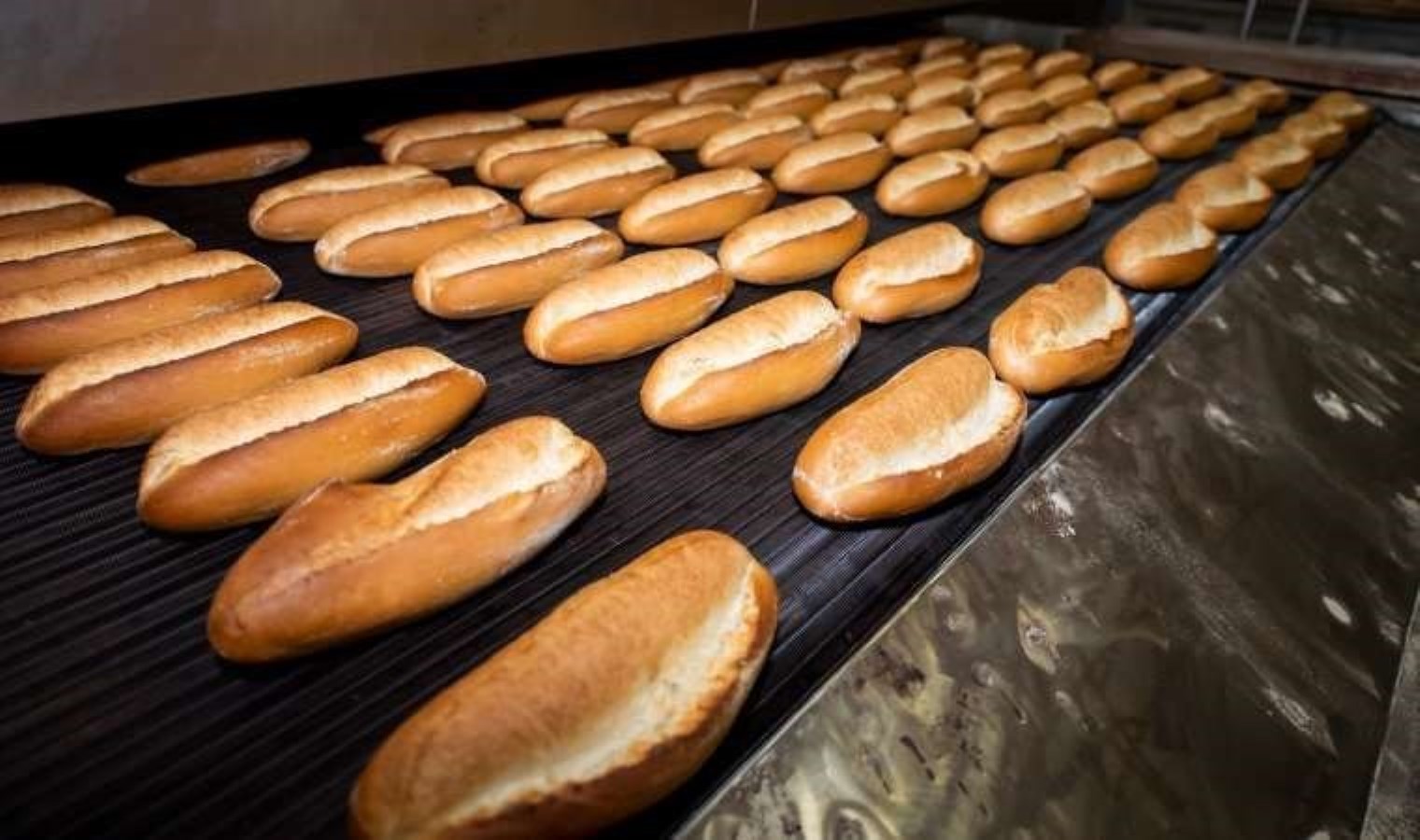 İzmir’de halk ekmeğe zam geldi: 8 liradan satılacak