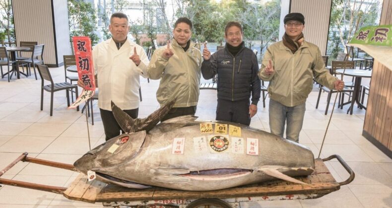 Japonya’da 276 kiloluk mavi yüzgeçli orkinos 1,3 milyon dolara satıldı