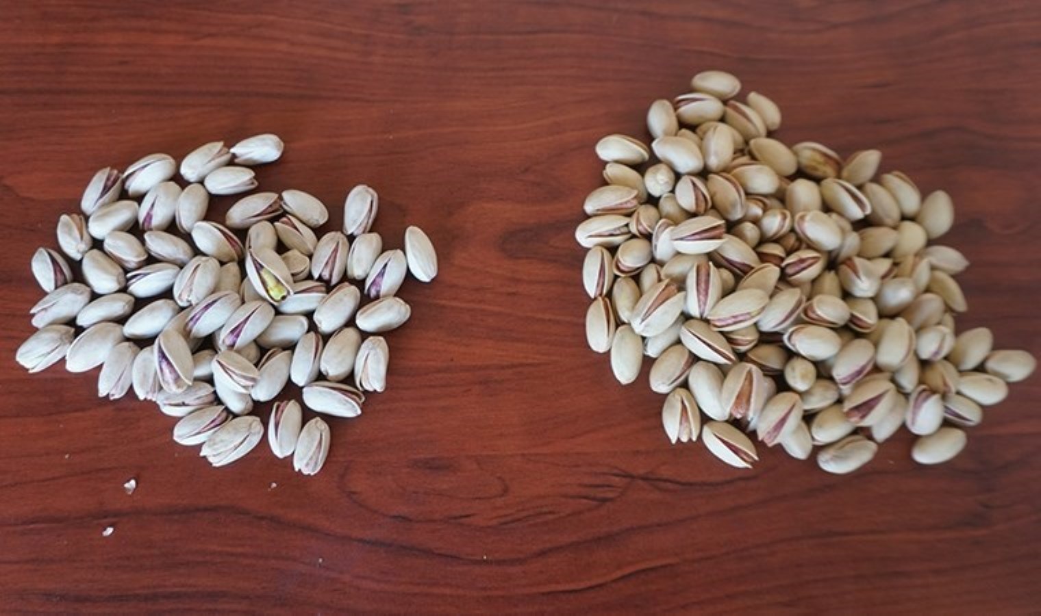 ‘Kaçak İran fıstığı’ uyarısı: Ayırt etmenin tek bir yolu var