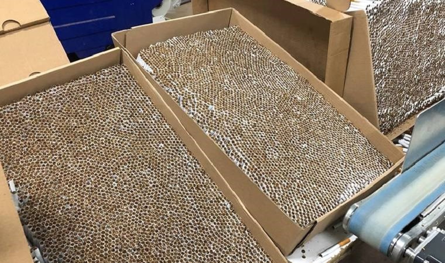 Kamyonete saklamışlar… 5 milyon kaçak makaron yakalandı!