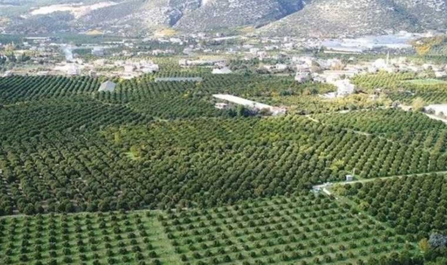 Kaş’ın ortasından geçecek projeye ‘ÇED olumlu’ kararı: Her şey 3 dakika hız için