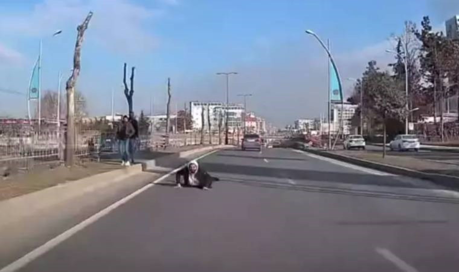 Malatya’da yola atlayan yaya ölümle burun buruna geldi