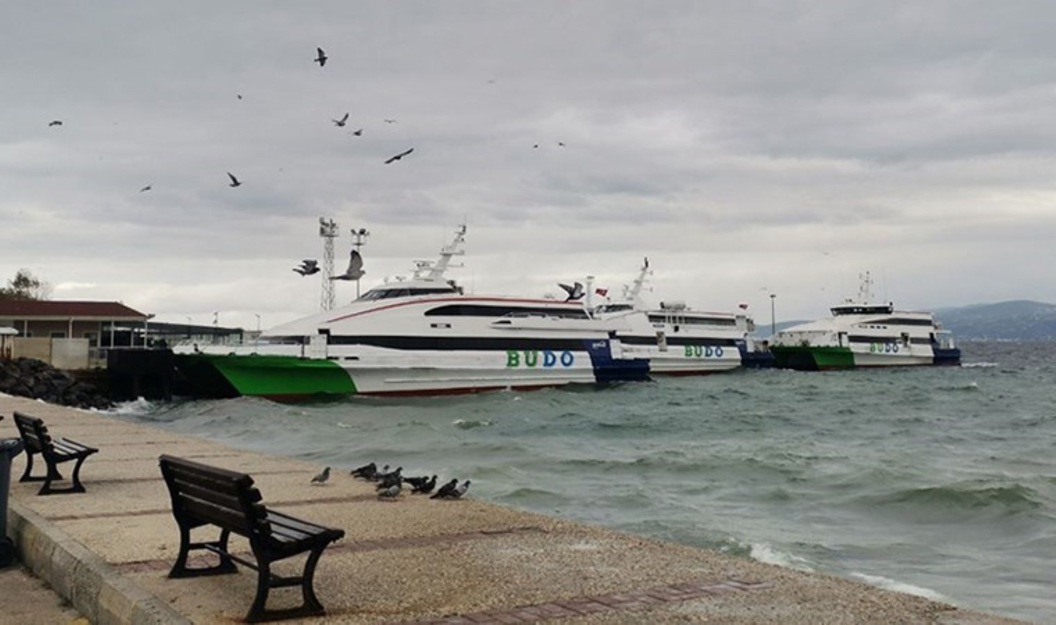 Marmara’da ‘fırtına’ etkisi: Bazı deniz otobüsü seferleri iptal edildi