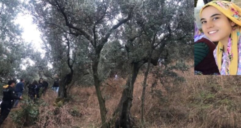 Muğla’da şüpheli kadın ölümü: Zeytin toplamaya gitti, cesedi bulundu!