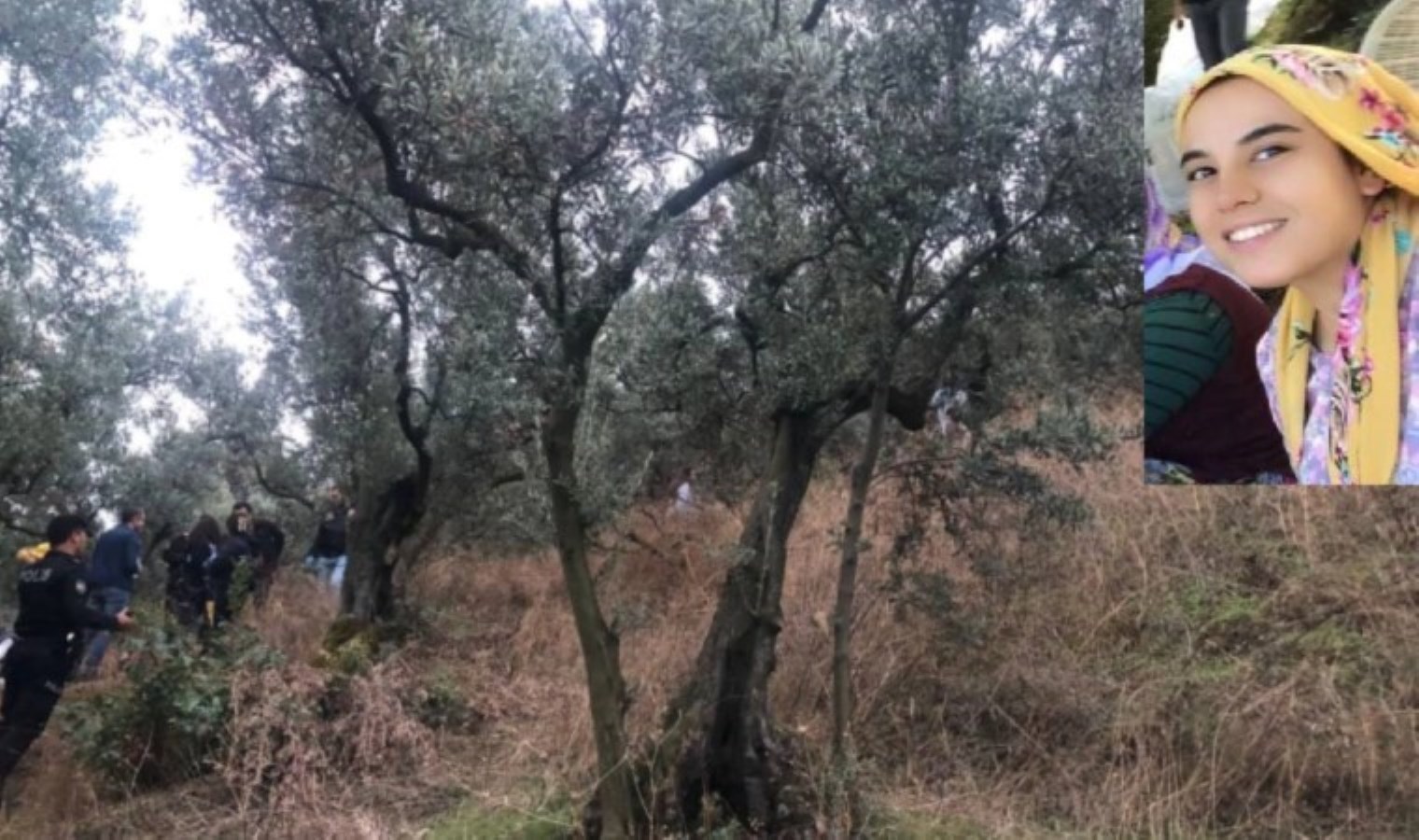 Muğla’da şüpheli kadın ölümü: Zeytin toplamaya gitti, cesedi bulundu!