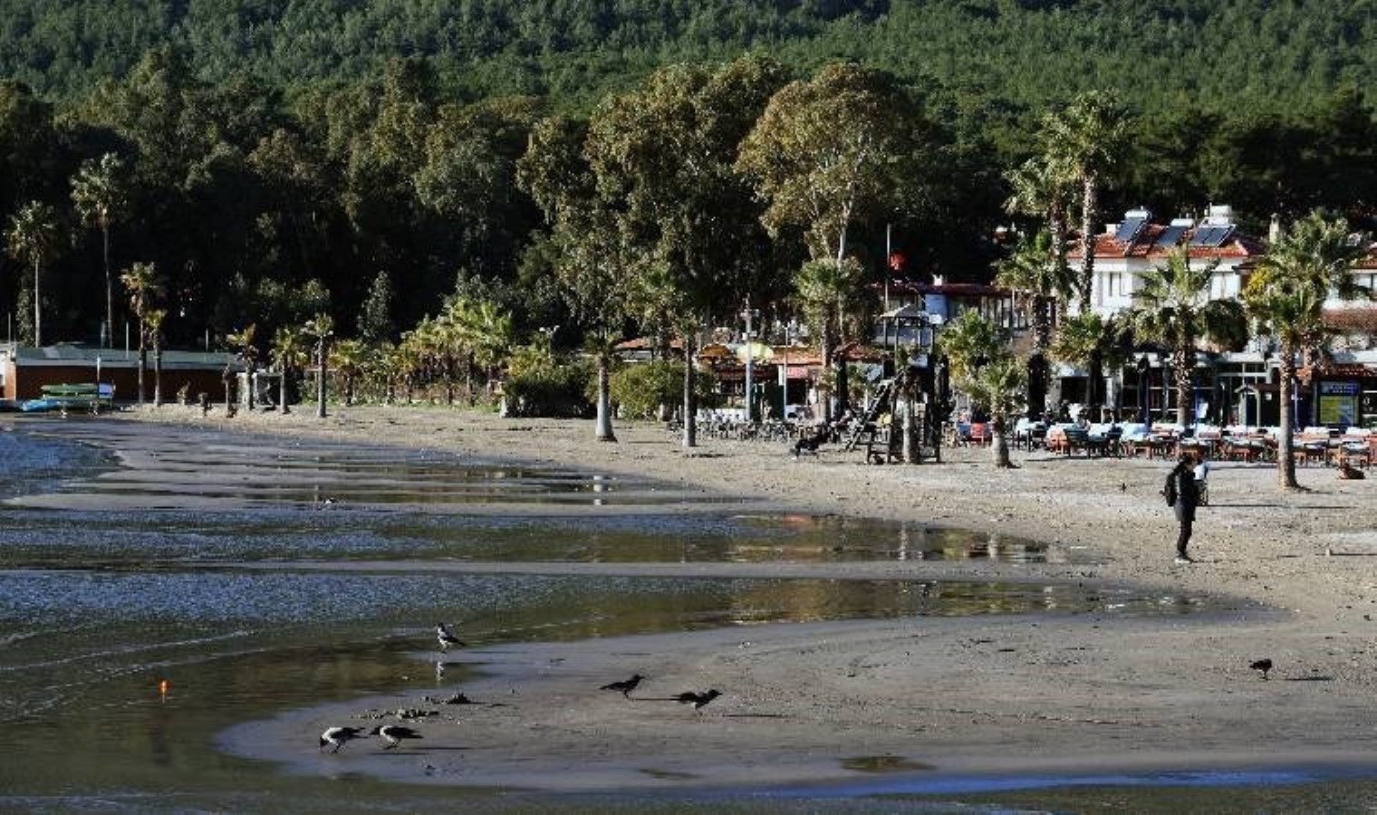 Muğla’da tedirgin eden görüntü… Deniz suyu 12 metre çekildi!