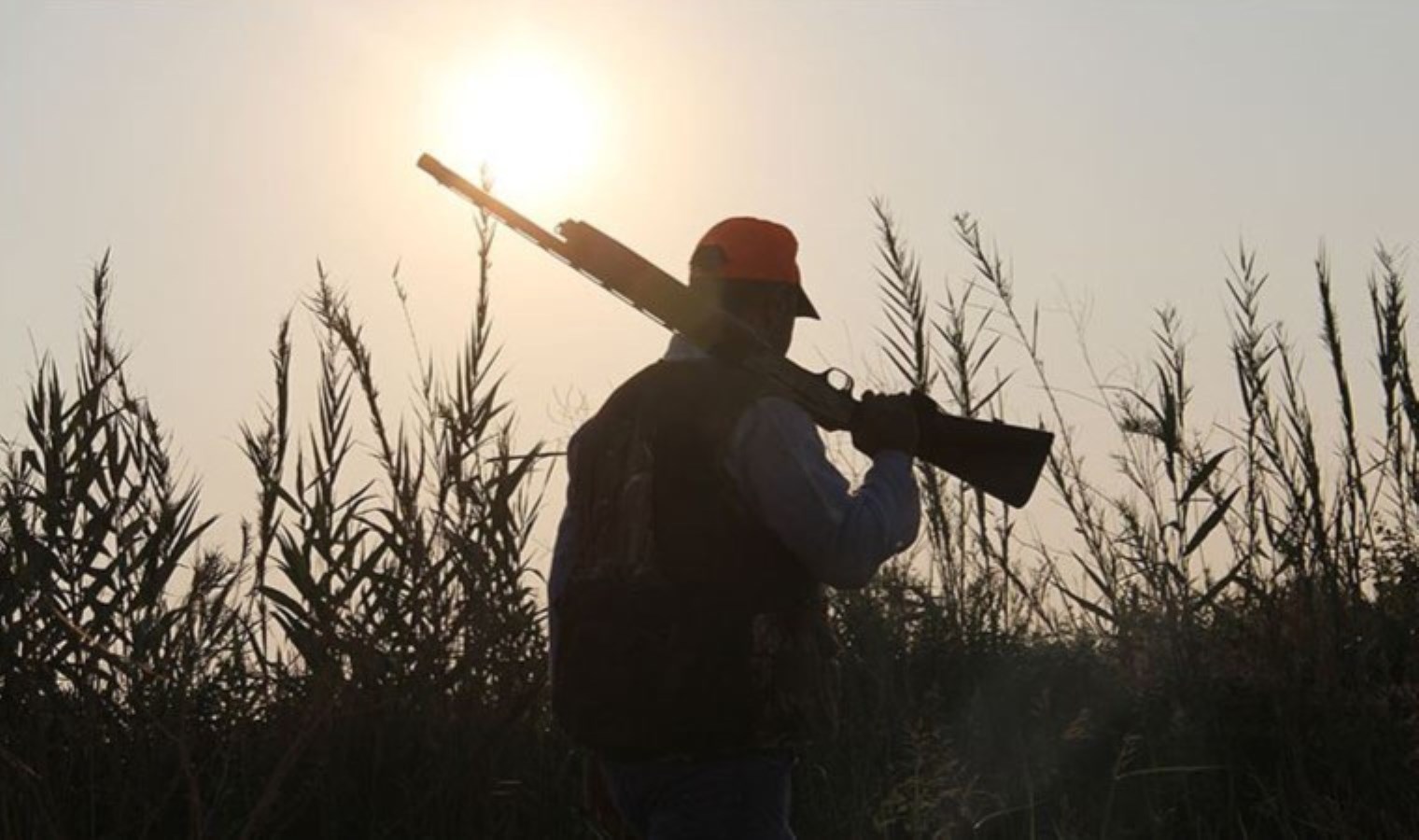 Nesli tükenen canlıya acımadı: Cezası ağır oldu