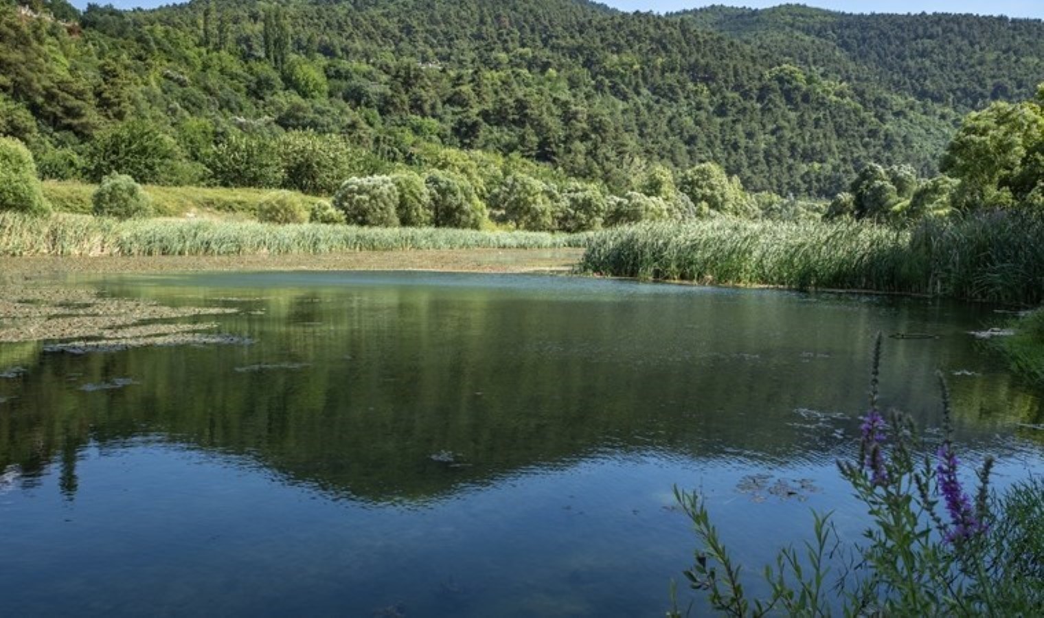 Nilüfer Çayı ‘atık kanalı’ haline geldi: Yapılması gerekenler madde madde açıklandı…