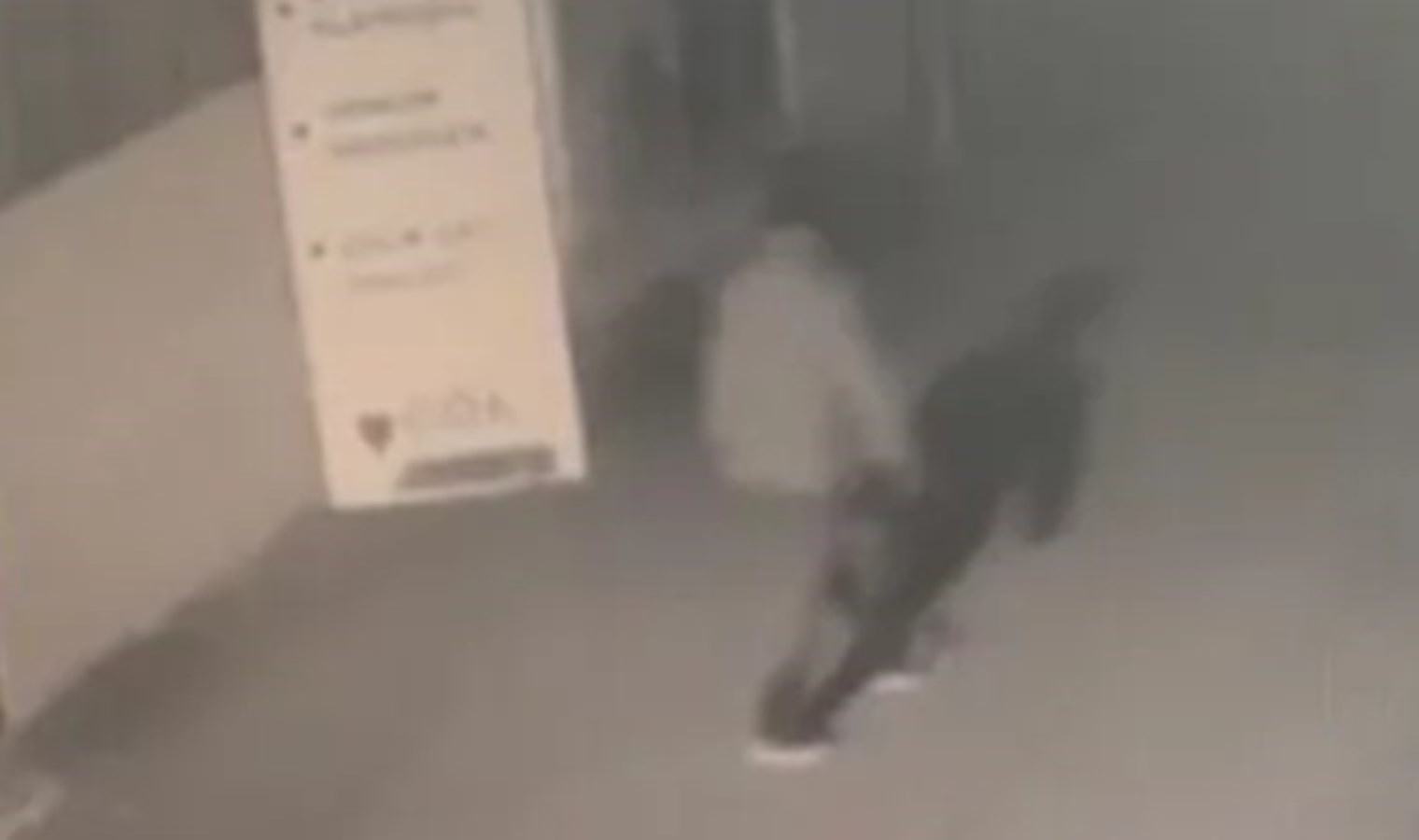 Pendik’te Türk bayrağını yakmıştı:  Tutuklanan şüpheliye 3 yıla kadar hapis istemi