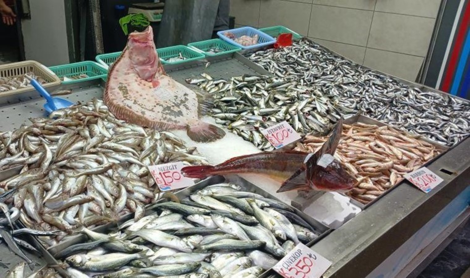 Rekabet kızıştı, tezgâhın gözdesi değişti! Kilosu bin lira…