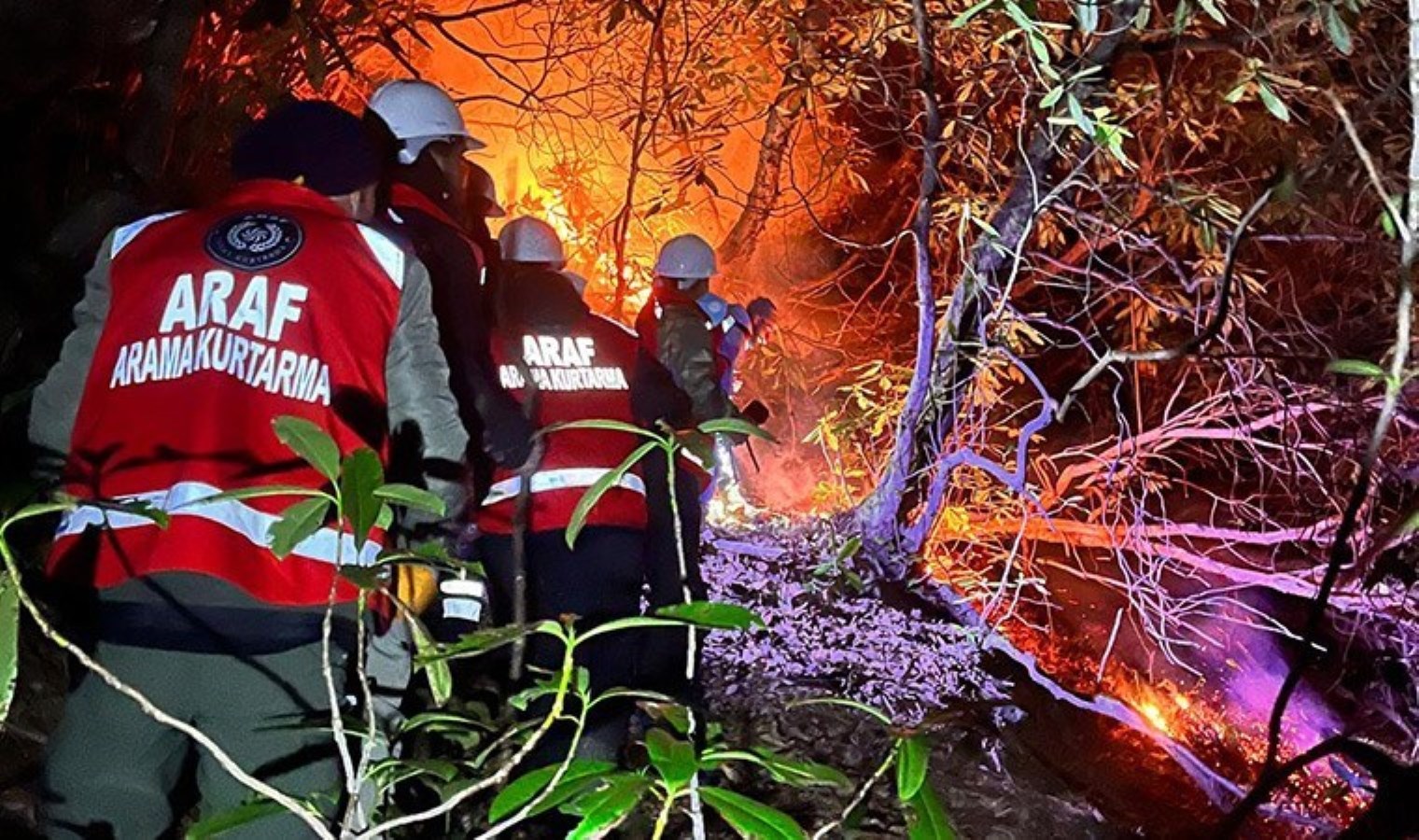 Rize’de anız yangını paniği! Alevler ormana sıçradı: 15 dönüm alan zarar gördü