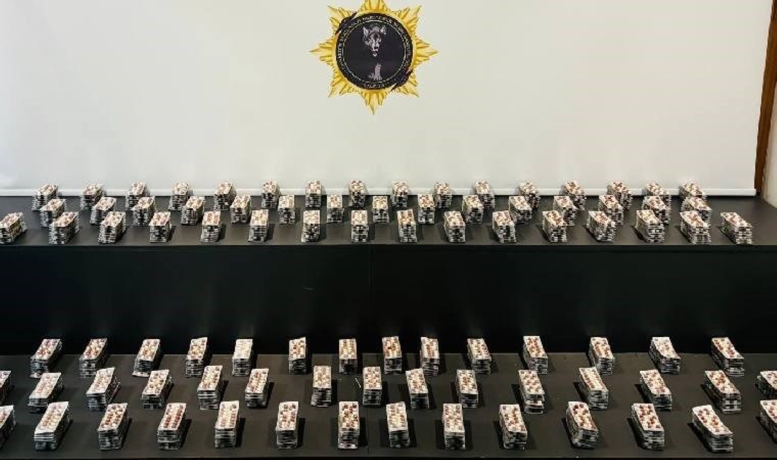 Samsun’da uyuşturucu operasyonu: Binlerce sentetik hap yakalandı!