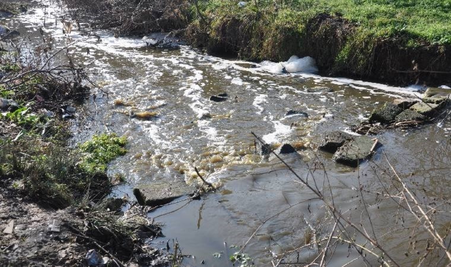 Saranlı Deresi’nde tedirgin eden görüntü… Rengi değişti, köpük oluştu!
