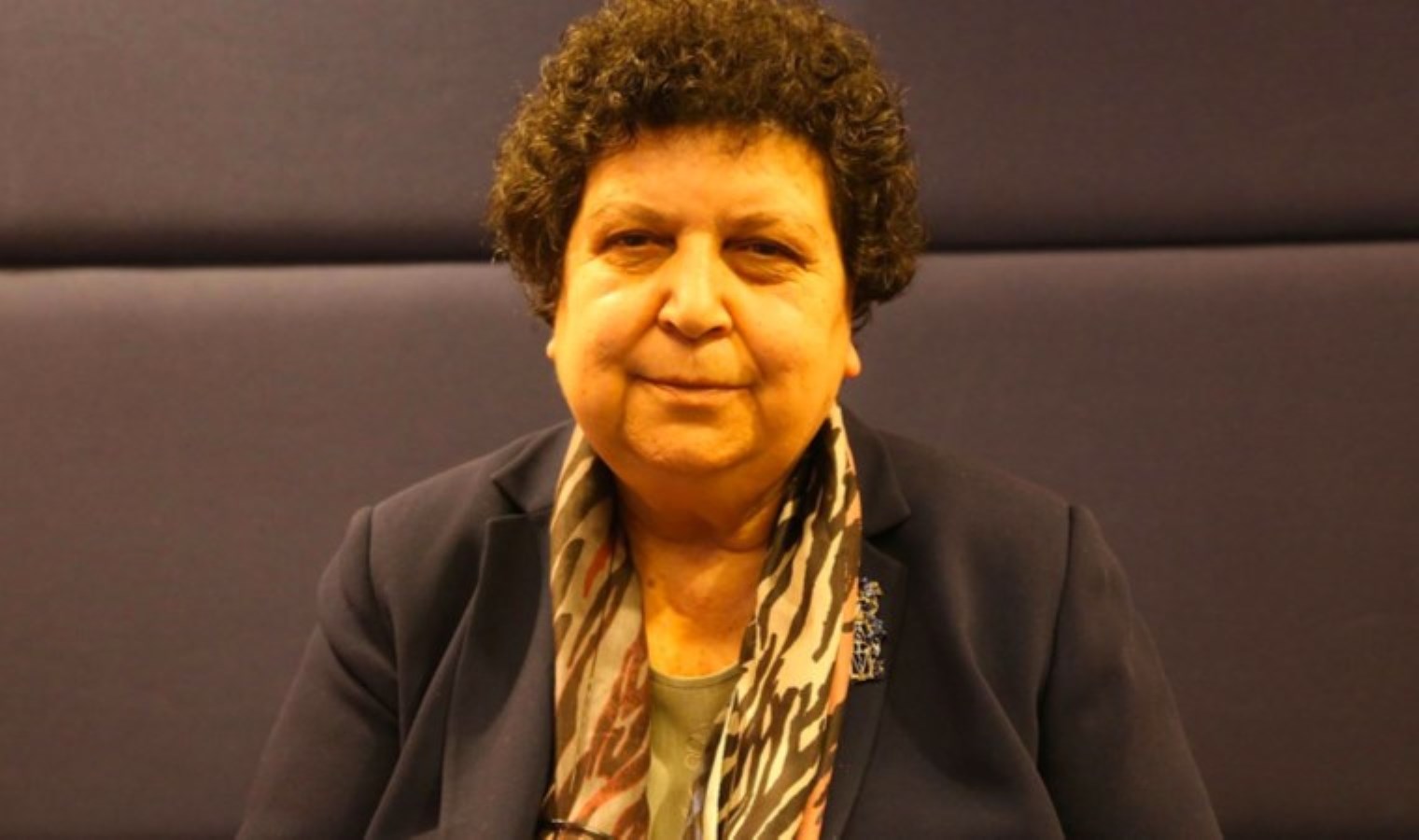 Şenal Sarıhan’a Uğur Mumcu Özel Ödülü