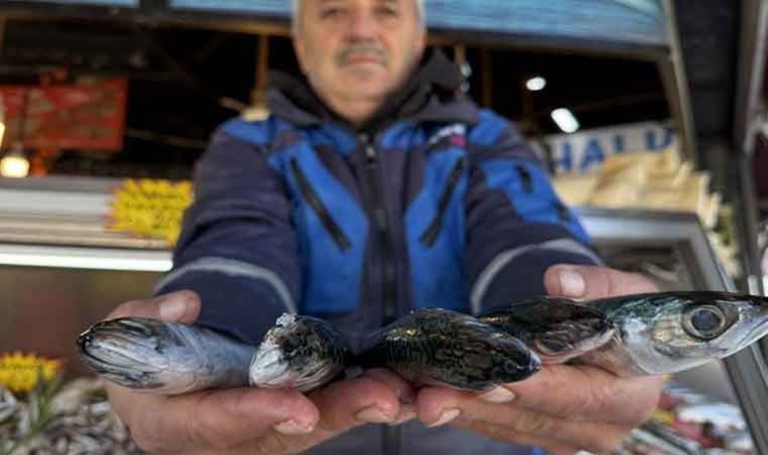 Sezonu bitti derken yeniden başladı: Tanesi 250 TL…