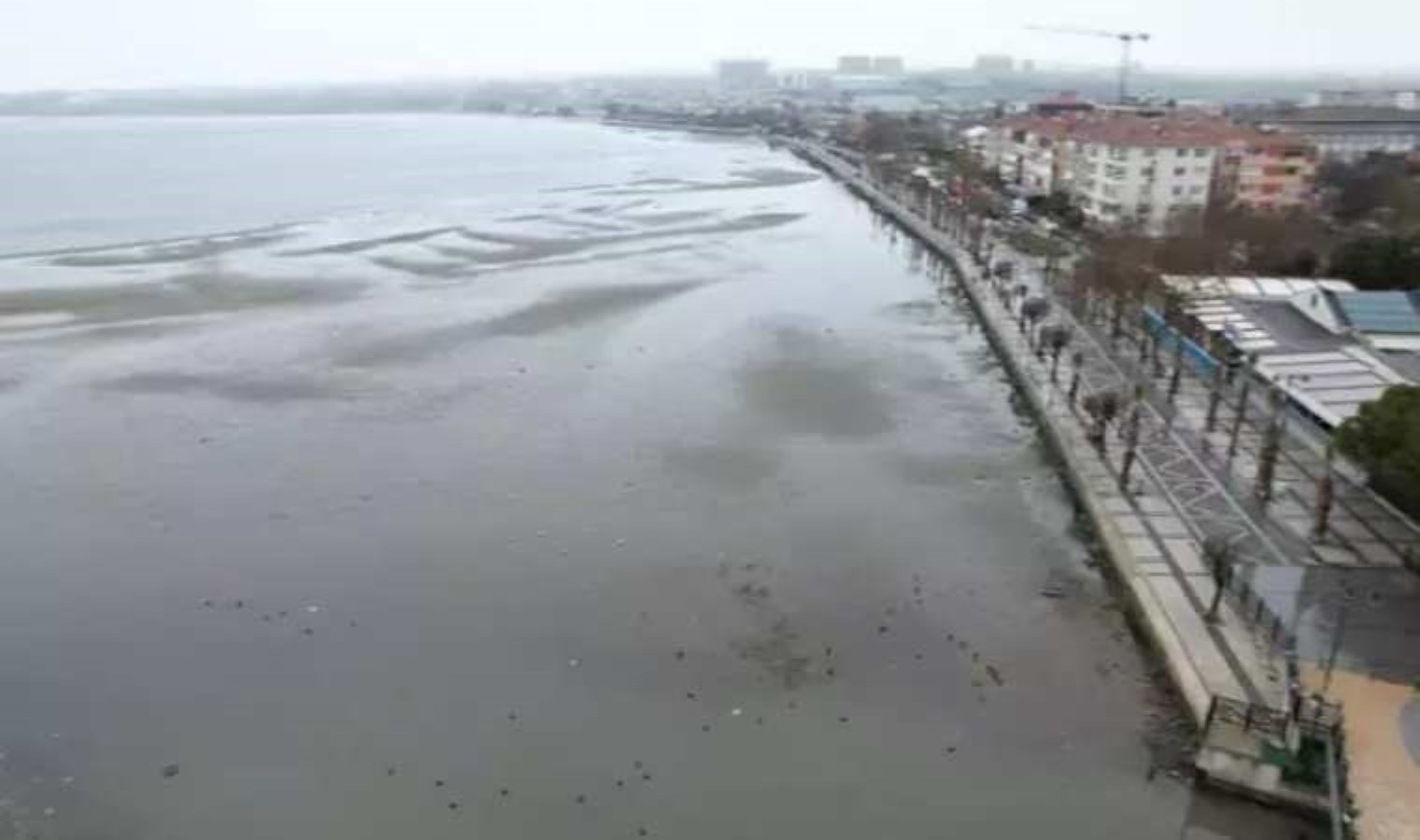 Silivri’de deniz metrelerce çekildi