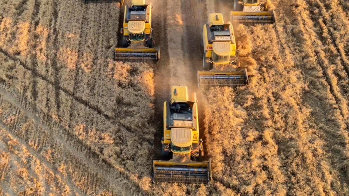 Tarım üretici fiyatları yıllık yüzde 32,92 arttı