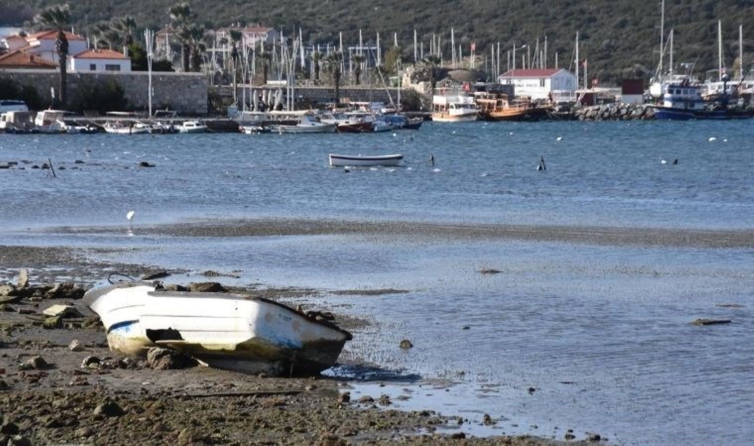 Tekneler karaya oturdu: İzmir’deki deniz çekilmesinin Ege Denizi’ndeki depremlerle ilgisi var mı?