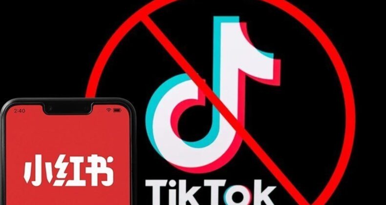 TikTok neden yasaklanmak isteniyor? Tiktok’un yasak olduğu ülkeler hangileri?