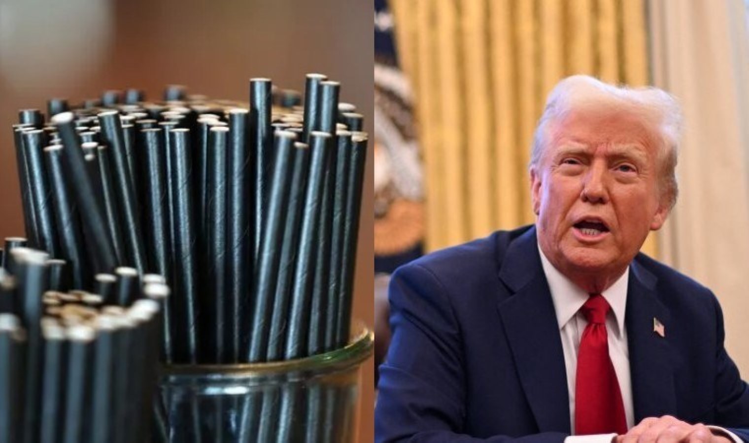 Trump’tan ‘kağıt pipet’ tepkisi: Plastiğe geri dönüyoruz