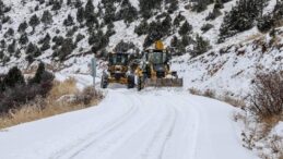 Van’da 255 yerleşim yeri ulaşıma kapandı