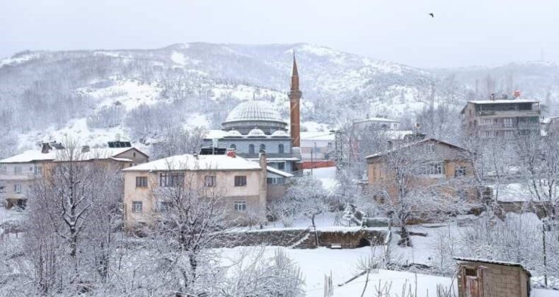 Van’da kar yağışı: 60 yerleşim yeri ulaşıma kapandı