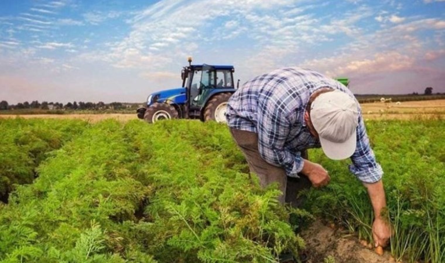 2025 Mart ayı mazot ve gübre desteği ödemeleri yattı mı? 2025 Mart ayı mazot ve gübre desteği ödemeleri ne zaman ödenecek?