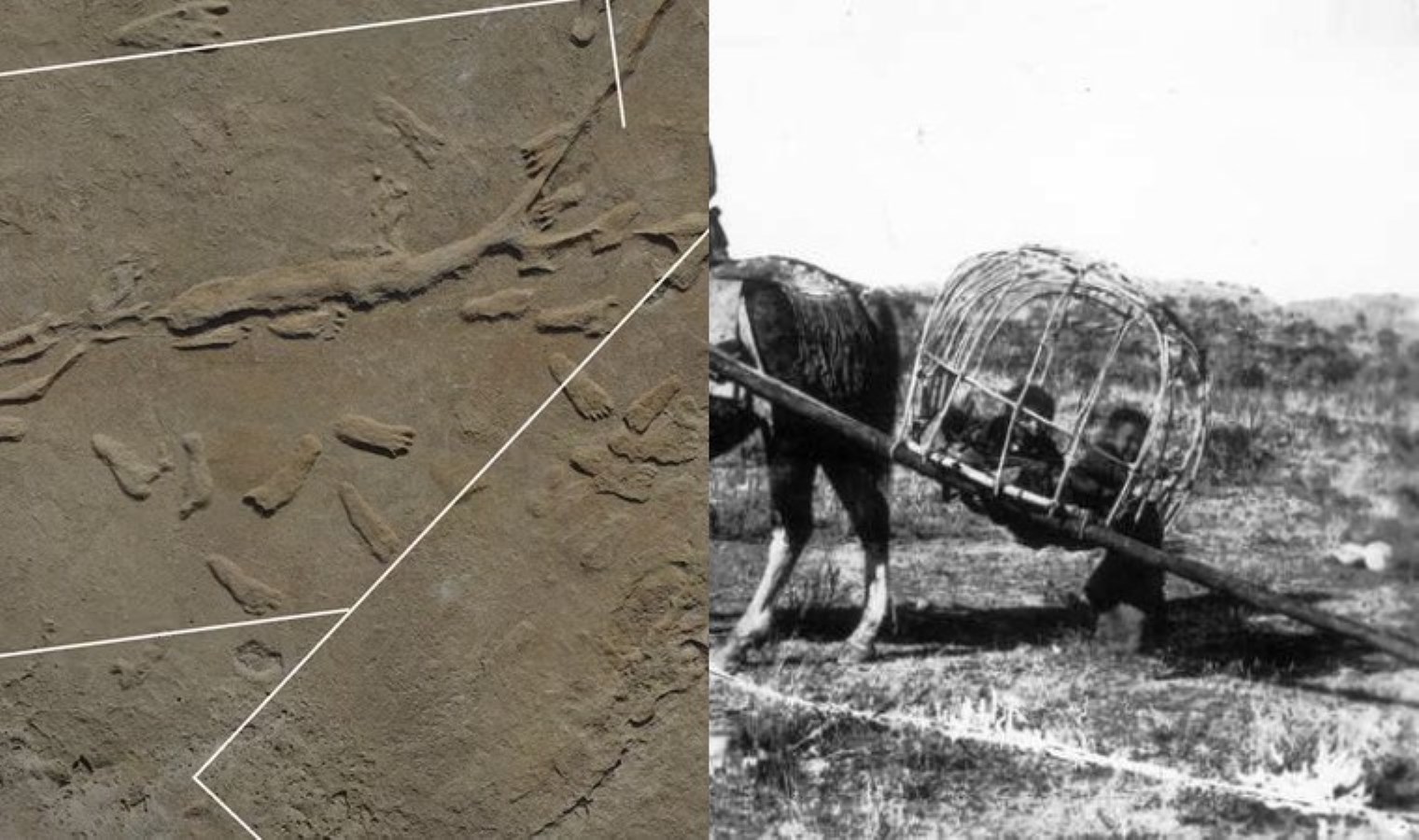 22 bin yıllık sır çözüldü: Taşıma yönteminin en eski kanıtı bulundu