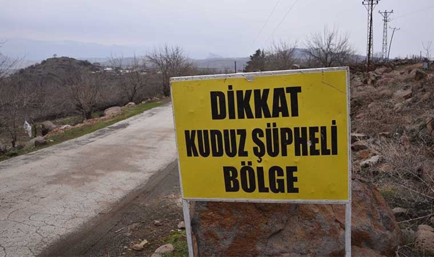 3 kişiyi ısıran köpek kuduz çıktı! Bir mahalle karantinaya alındı